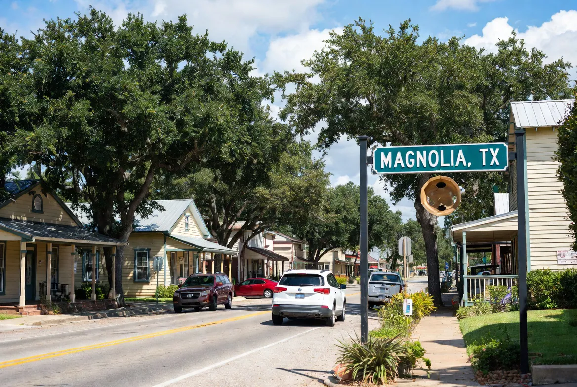 Homes and community in Magnolia, TX