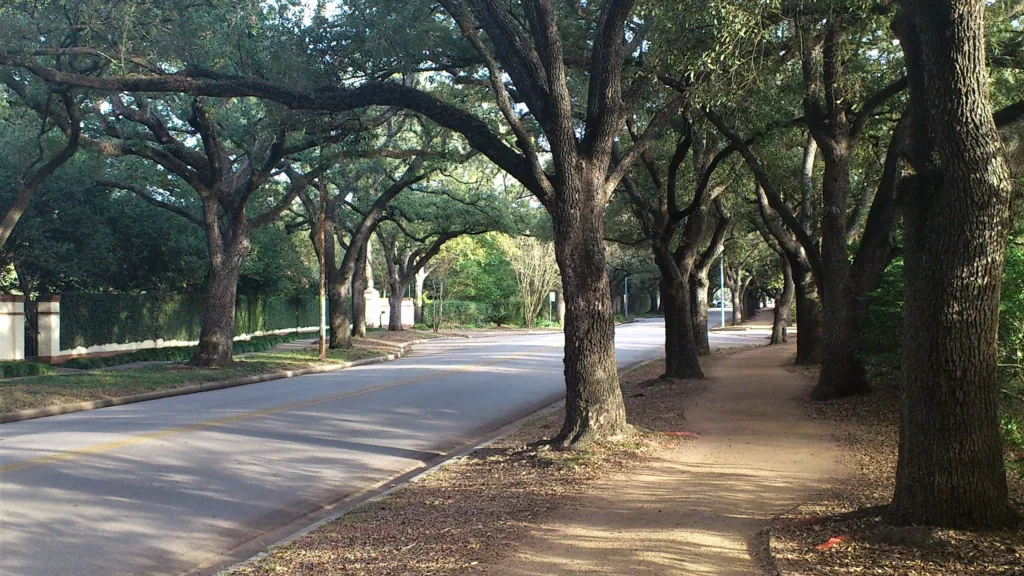 Tanglewood Houston luxury homes for sale